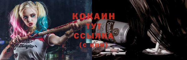 трава Коряжма