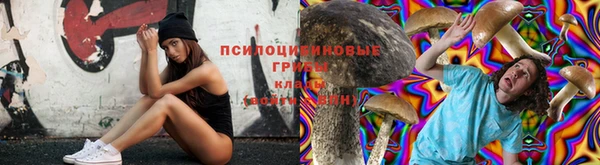 прущая мука Костерёво