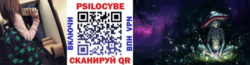 Псилоцибиновые грибы GOLDEN TEACHER купить сайты Короча